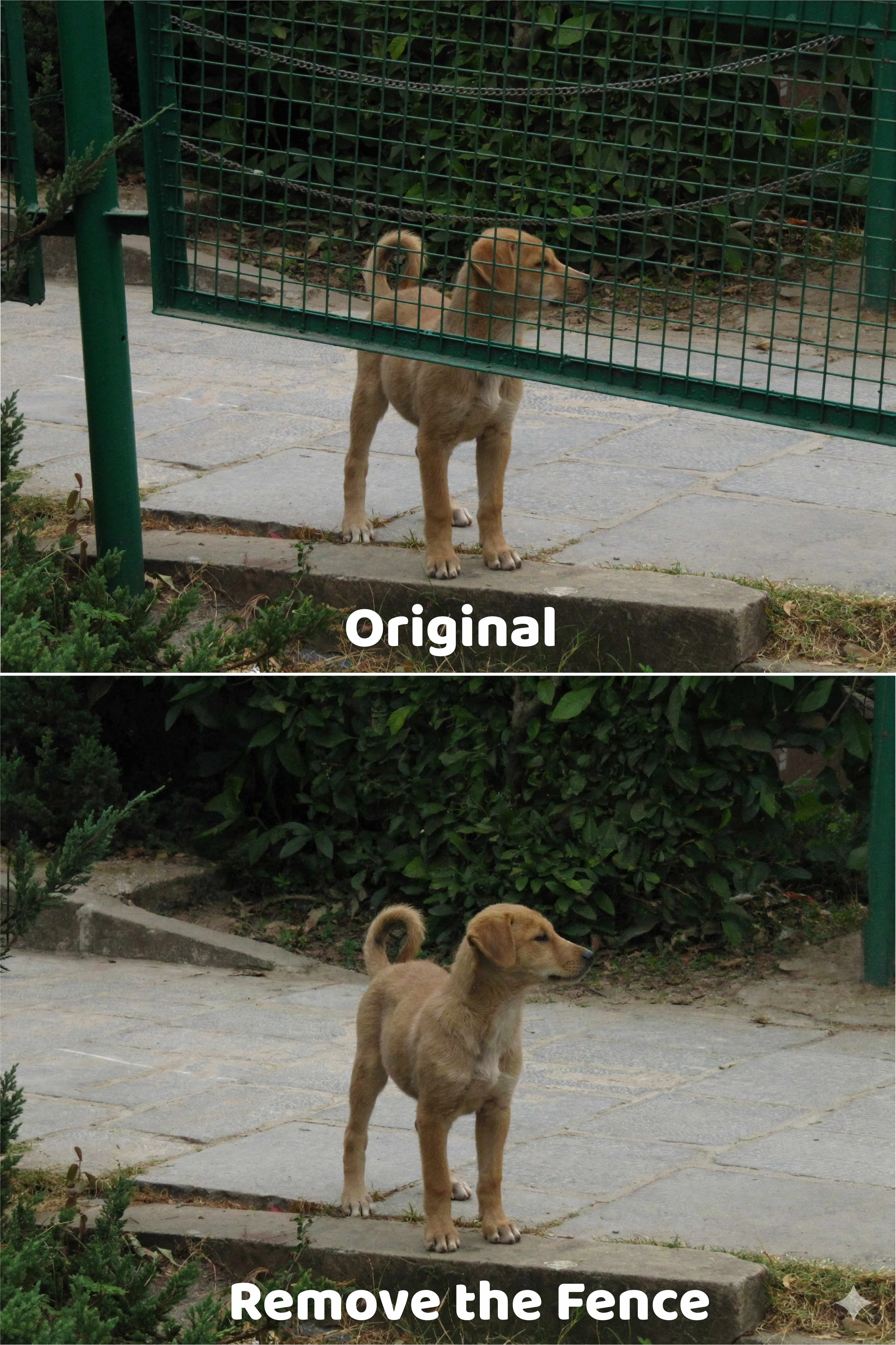 Remove fence from the front